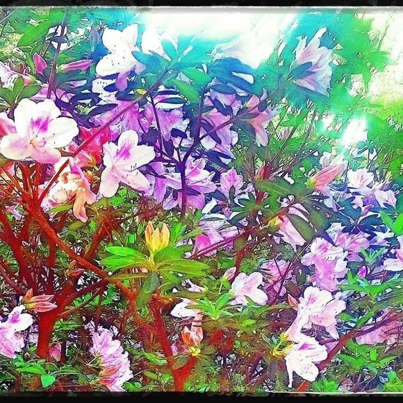 The biggest reasons I LOVE MY LIFE.. So grateful - Picture 3 of 11